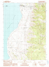 Download a high-resolution, GPS-compatible USGS topo map for Willow Ranch, CA (1990 edition)