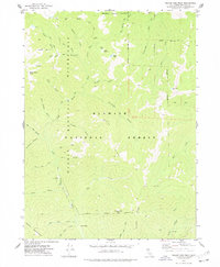 Download a high-resolution, GPS-compatible USGS topo map for Yellow Dog Peak, CA (1978 edition)