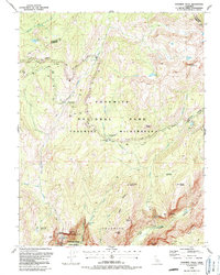 Download a high-resolution, GPS-compatible USGS topo map for Yosemite Falls, CA (1990 edition)