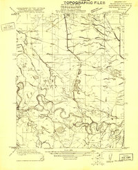 Download a high-resolution, GPS-compatible USGS topo map for Mendota, CA (1921 edition)