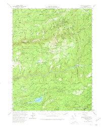 Download a high-resolution, GPS-compatible USGS topo map for Alleghany, CA (1980 edition)