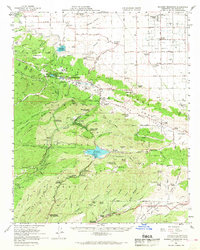 Download a high-resolution, GPS-compatible USGS topo map for Bouquet Reservoir, CA (1969 edition)