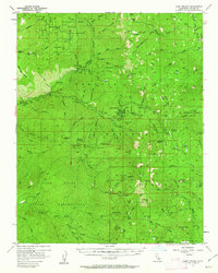 Download a high-resolution, GPS-compatible USGS topo map for Camp Nelson, CA (1962 edition)