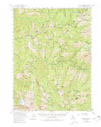 Download a high-resolution, GPS-compatible USGS topo map for Coffee Creek, CA (1980 edition)