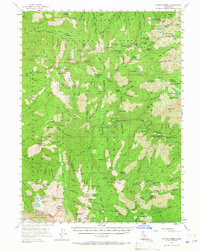 Download a high-resolution, GPS-compatible USGS topo map for Coffee Creek, CA (1967 edition)