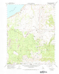 Download a high-resolution, GPS-compatible USGS topo map for Cowtrack Mtn, CA (1971 edition)