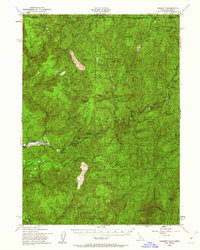 Download a high-resolution, GPS-compatible USGS topo map for Gasquet, CA (1962 edition)