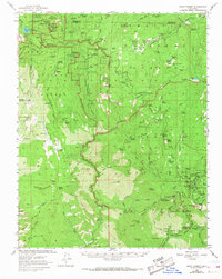 Download a high-resolution, GPS-compatible USGS topo map for Giant Forest, CA (1968 edition)