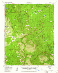 Download a high-resolution, GPS-compatible USGS topo map for Giant Forest, CA (1961 edition)