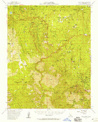 Download a high-resolution, GPS-compatible USGS topo map for Giant Forest, CA (1958 edition)