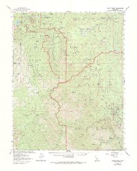 Download a high-resolution, GPS-compatible USGS topo map for Giant Forest, CA (1984 edition)