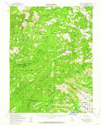 Download a high-resolution, GPS-compatible USGS topo map for Granite Chief, CA (1962 edition)