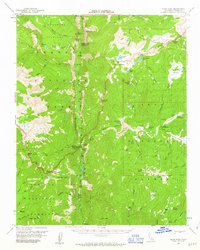 Download a high-resolution, GPS-compatible USGS topo map for Kern Peak, CA (1963 edition)