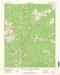 Download a high-resolution, GPS-compatible USGS topo map for Kern Peak, CA (1967 edition)
