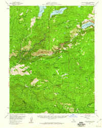 Download a high-resolution, GPS-compatible USGS topo map for Lake Eleanor, CA (1960 edition)