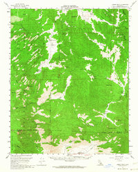 Download a high-resolution, GPS-compatible USGS topo map for Lamont Peak, CA (1964 edition)