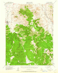 Download a high-resolution, GPS-compatible USGS topo map for Loyalton, CA (1960 edition)