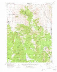 Download a high-resolution, GPS-compatible USGS topo map for Loyalton, CA (1980 edition)