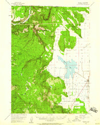 Download a high-resolution, GPS-compatible USGS topo map for Macdoel, CA (1960 edition)