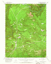 Download a high-resolution, GPS-compatible USGS topo map for Montgomery Creek, CA (1965 edition)