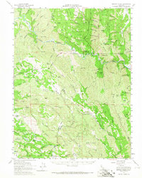 Download a high-resolution, GPS-compatible USGS topo map for Morgan Valley, CA (1966 edition)