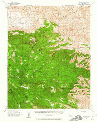 Download a high-resolution, GPS-compatible USGS topo map for New Idria, CA (1956 edition)