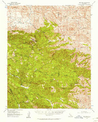 Download a high-resolution, GPS-compatible USGS topo map for New Idria, CA (1958 edition)