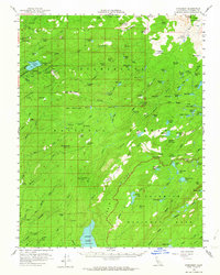 Download a high-resolution, GPS-compatible USGS topo map for Pinecrest, CA (1964 edition)