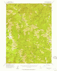 Download a high-resolution, GPS-compatible USGS topo map for Salmon Mtn, CA (1957 edition)