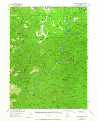Download a high-resolution, GPS-compatible USGS topo map for Shoeinhorse Mountain, CA (1964 edition)