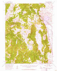 Download a high-resolution, GPS-compatible USGS topo map for Topaz Lake, CA (1961 edition)