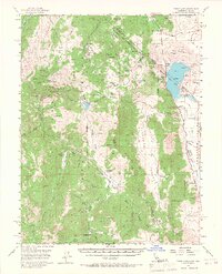 1956 Map of Topaz Lake, 1967 Print