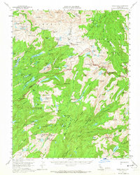 Download a high-resolution, GPS-compatible USGS topo map for Tower Peak, CA (1965 edition)