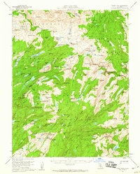 Download a high-resolution, GPS-compatible USGS topo map for Tower Peak, CA (1960 edition)