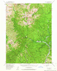 Download a high-resolution, GPS-compatible USGS topo map for Trinity Lake, CA (1964 edition)