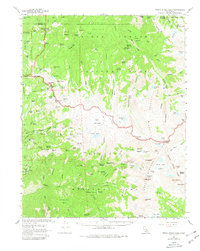 Download a high-resolution, GPS-compatible USGS topo map for Triple Divide Peak, CA (1980 edition)
