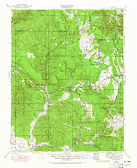 1924 Map of Arboles, CO, 1965 Print