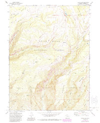 Download a high-resolution, GPS-compatible USGS topo map for Adams Lake, CO (1988 edition)