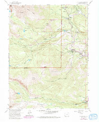 Download a high-resolution, GPS-compatible USGS topo map for Allens Park, CO (1978 edition)