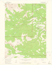 Download a high-resolution, GPS-compatible USGS topo map for Allens Park, CO (1962 edition)
