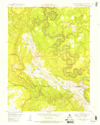 preview thumbnail of historical topo map of Montrose County, CO in 1949