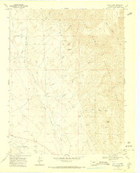 Download a high-resolution, GPS-compatible USGS topo map for Badito Cone, CO (1973 edition)