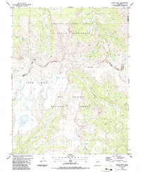 Download a high-resolution, GPS-compatible USGS topo map for Baldy Cinco, CO (1986 edition)