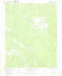 Download a high-resolution, GPS-compatible USGS topo map for Baldy Mountain, CO (1980 edition)