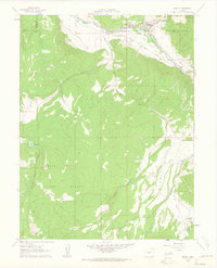 Download a high-resolution, GPS-compatible USGS topo map for Basalt, CO (1963 edition)
