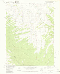 Download a high-resolution, GPS-compatible USGS topo map for Battle Mountain, CO (1979 edition)