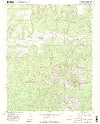 preview thumbnail of historical topo map of Montezuma County, CO in 1979
