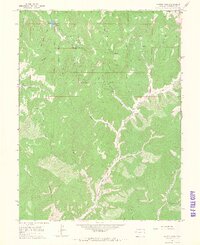 preview thumbnail of historical topo map of Garfield County, CO in 1964