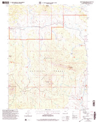 Download a high-resolution, GPS-compatible USGS topo map for Bears Ears Peaks, CO (2004 edition)