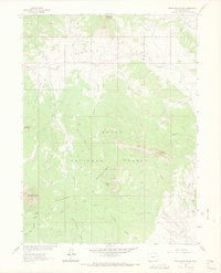 Download a high-resolution, GPS-compatible USGS topo map for Bears Ears Peaks, CO (1969 edition)